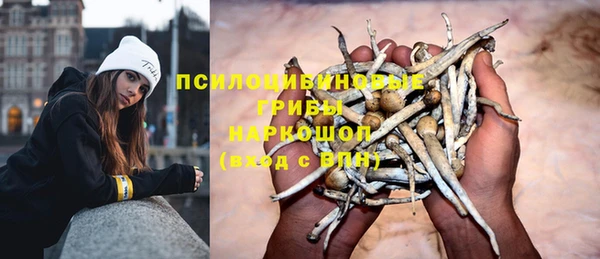 первитин Приозерск